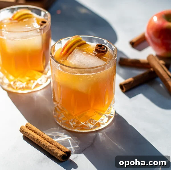 Slow Cooker Sausage and Peppers with Onions and Tomato Sauce 11 Two whiskey glasses with apple cider bourbon cocktail garnished with cinnamon sticks and apple slices.