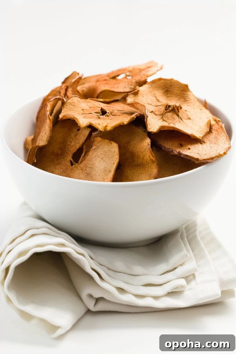 27 Fall Snack Ideas Kids Will Love 21 Baked Apple Chips