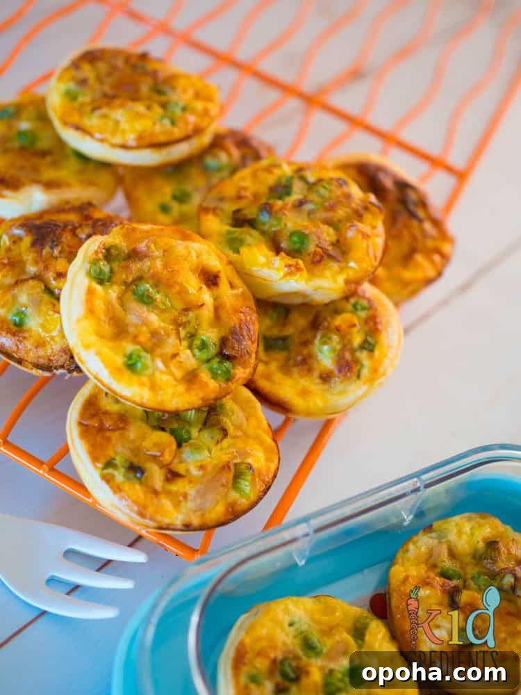 27 Fall Snack Ideas Kids Will Love 28 Tuna & Veggie Mini Quiches