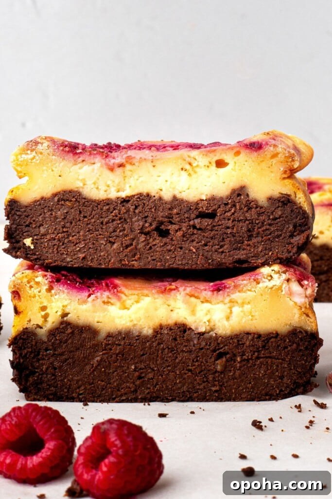 27 Fall Snack Ideas Kids Will Love 9 Flourless Raspberry Cheesecake Brownies