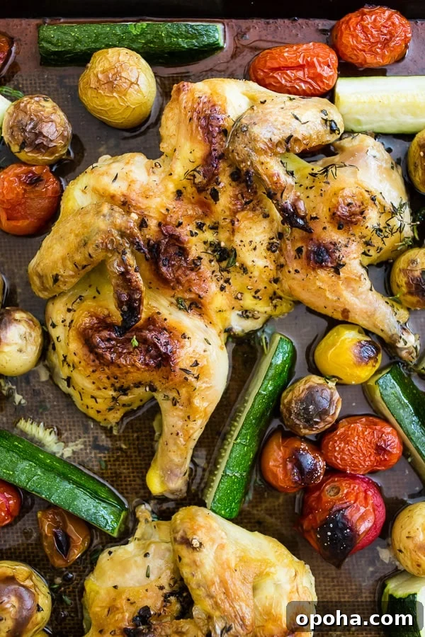30+ Sheet Pan Dinners for Busy Weeknights: Quick Family Meals 6 Cornish game hen with citrus.
