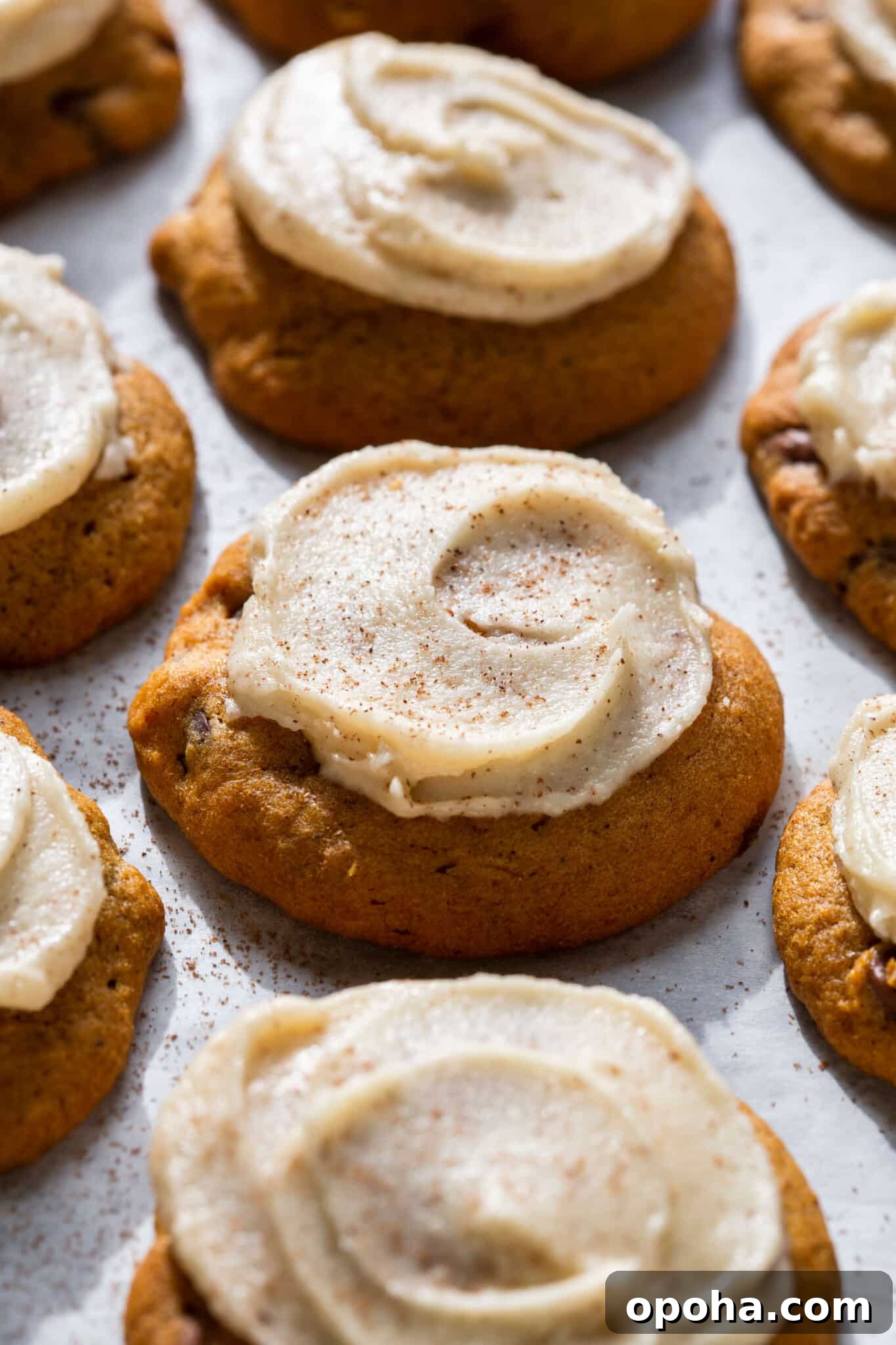 Pumpkin Chocolate Chip Cookie Recipe — Soft, Spiced & Gooey 2 chewy chocolate chip pumpkin cookies with browned butter icing close up.