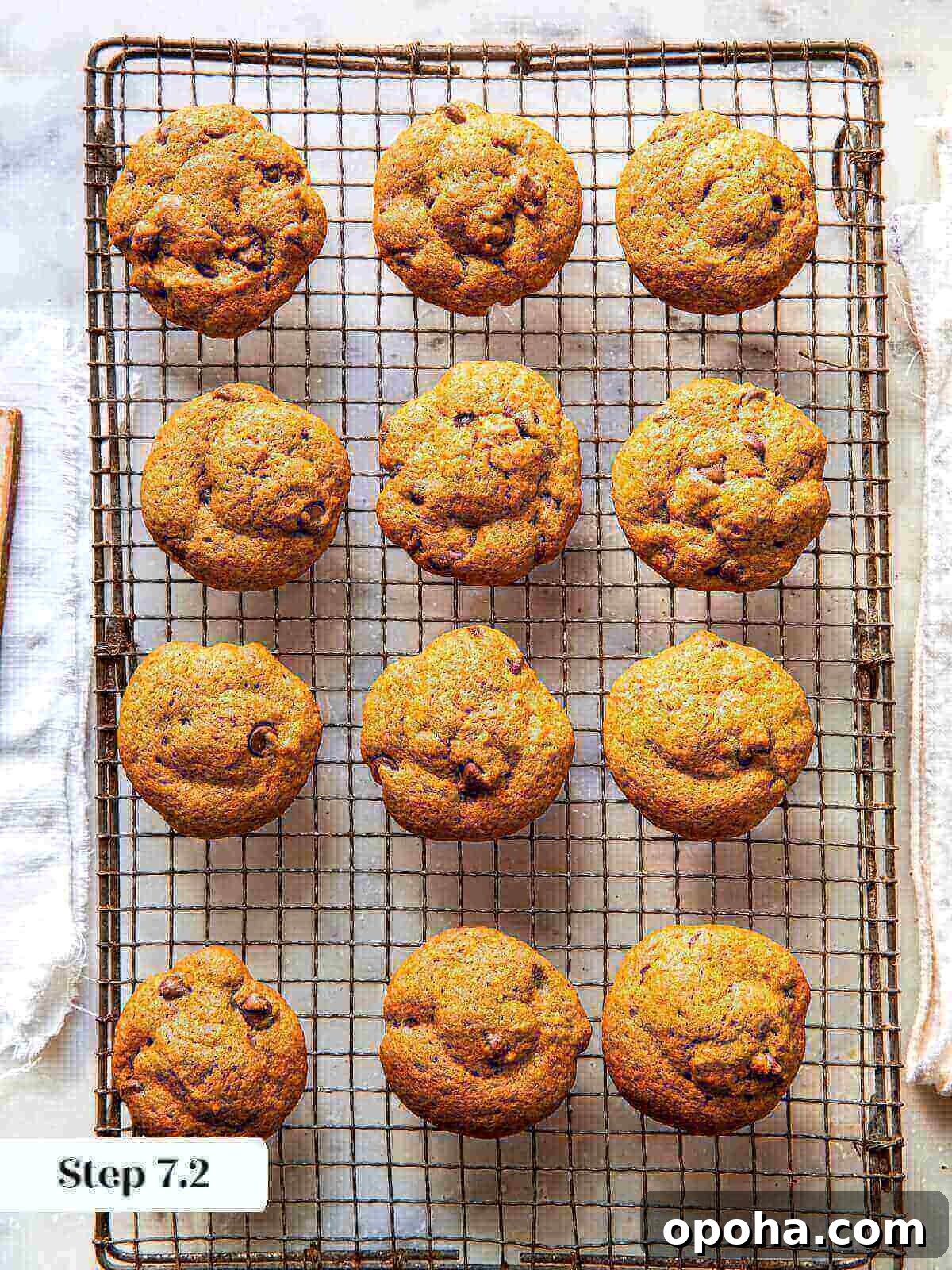 Pumpkin Chocolate Chip Cookie Recipe — Soft, Spiced & Gooey 11 Pumpkin chocolate chip cookies freshly baked and cooling on a rack, without any icing.