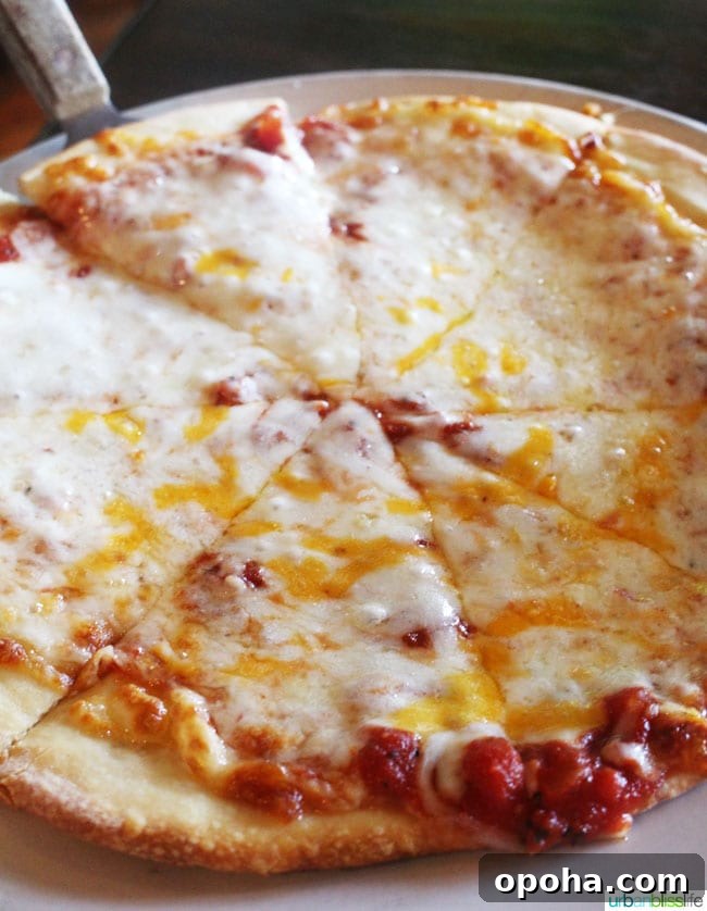 Top Restaurants and Where to Eat in Missoula, Montana 19 cheese pizza at Tamarack Brewing in Missoula