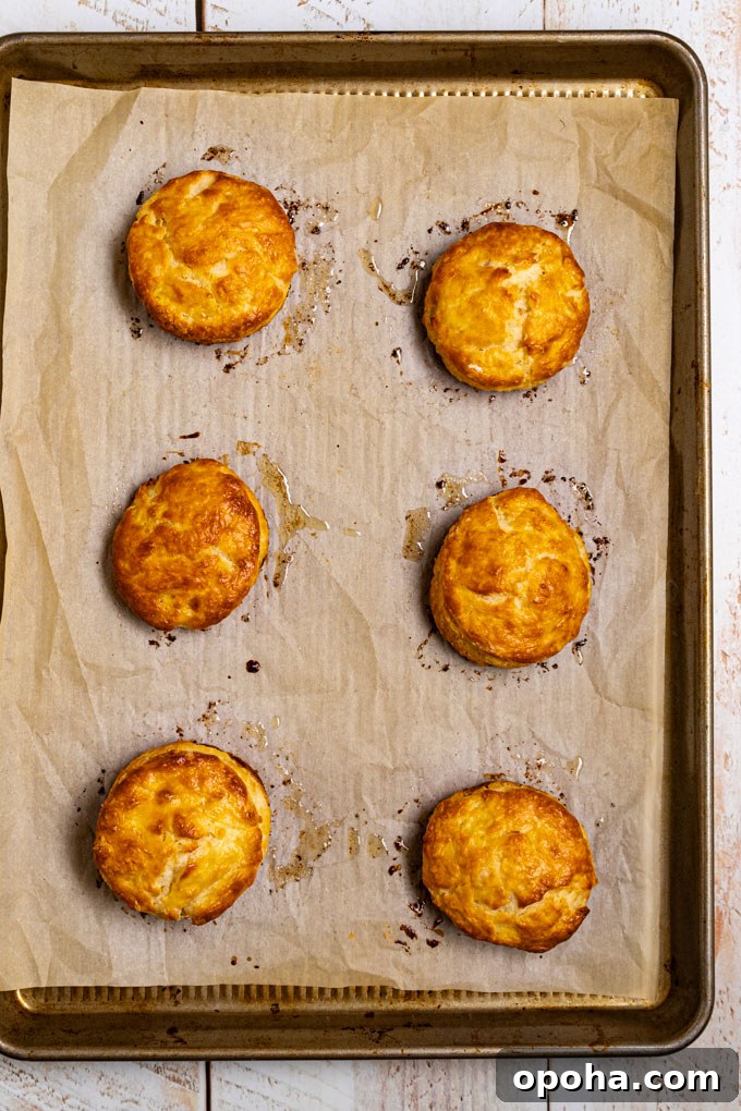 An overhead photo of freshly baked biscuits on a parchment lined baking pan. The scene has been photographed on a distressed white wood plank surface. #foodphotography