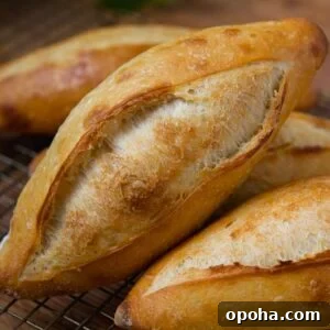 Freshly baked, golden-brown loaves of bread (called birote salado)