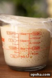 A glass measuring cup containing a bubbling levain