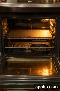 Oven setup with baking steel