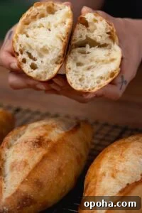 Freshly baked birote split open showing crumb