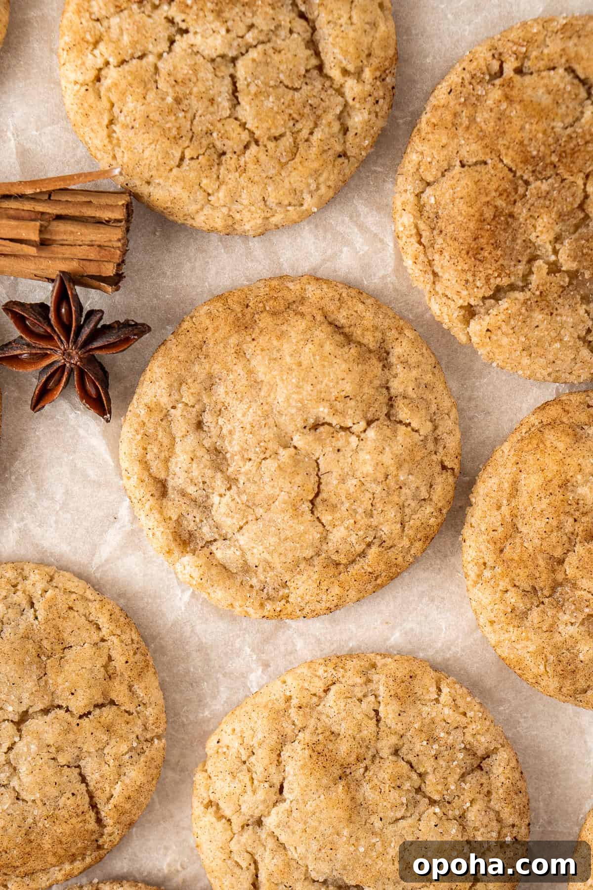 Chai-Spiced Sugar Cookies: Warm, Crispy Tea-Infused Treats 4 Close up of dairy free chai cookies with spices.