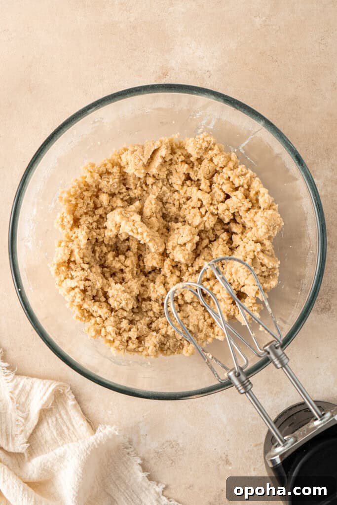 Chai-Spiced Sugar Cookies: Warm, Crispy Tea-Infused Treats 5 The cookie dough in a mixing bowl with electric beaters.