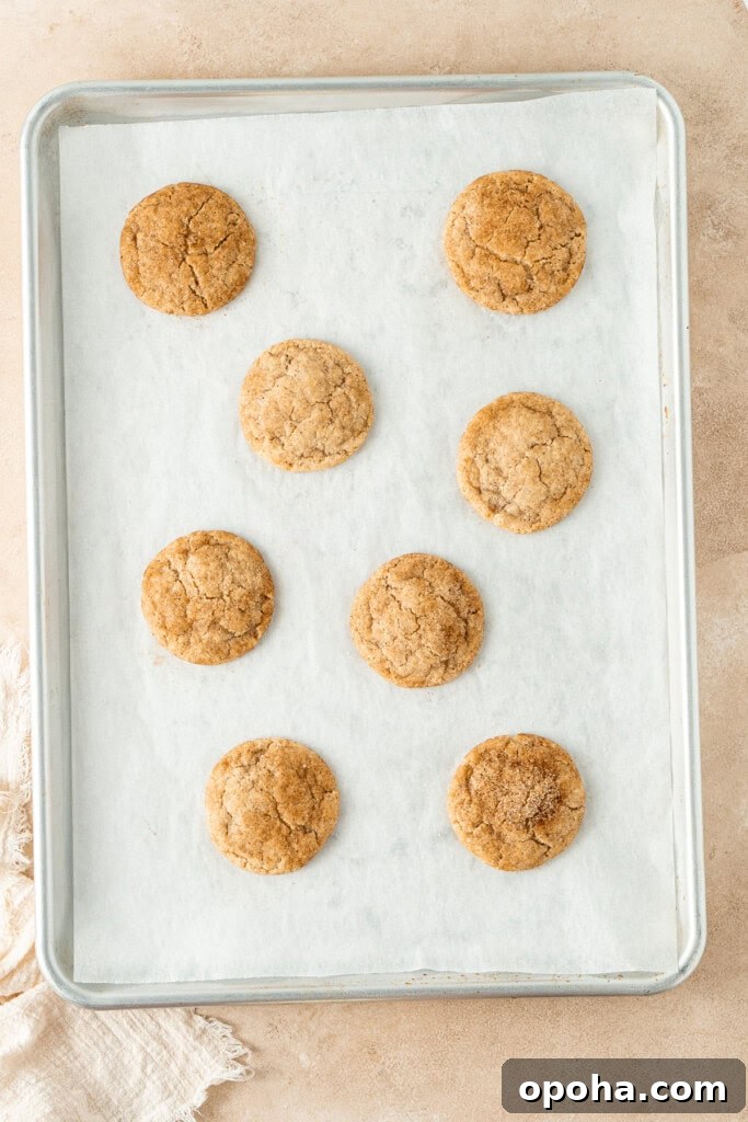 Chai-Spiced Sugar Cookies: Warm, Crispy Tea-Infused Treats 8 The baked cookies on a baking sheet.