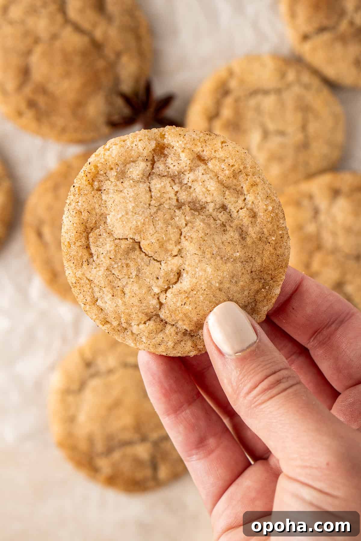 Chai-Spiced Sugar Cookies: Warm, Crispy Tea-Infused Treats 9 A hand holding a chai spiced sugar cookie.