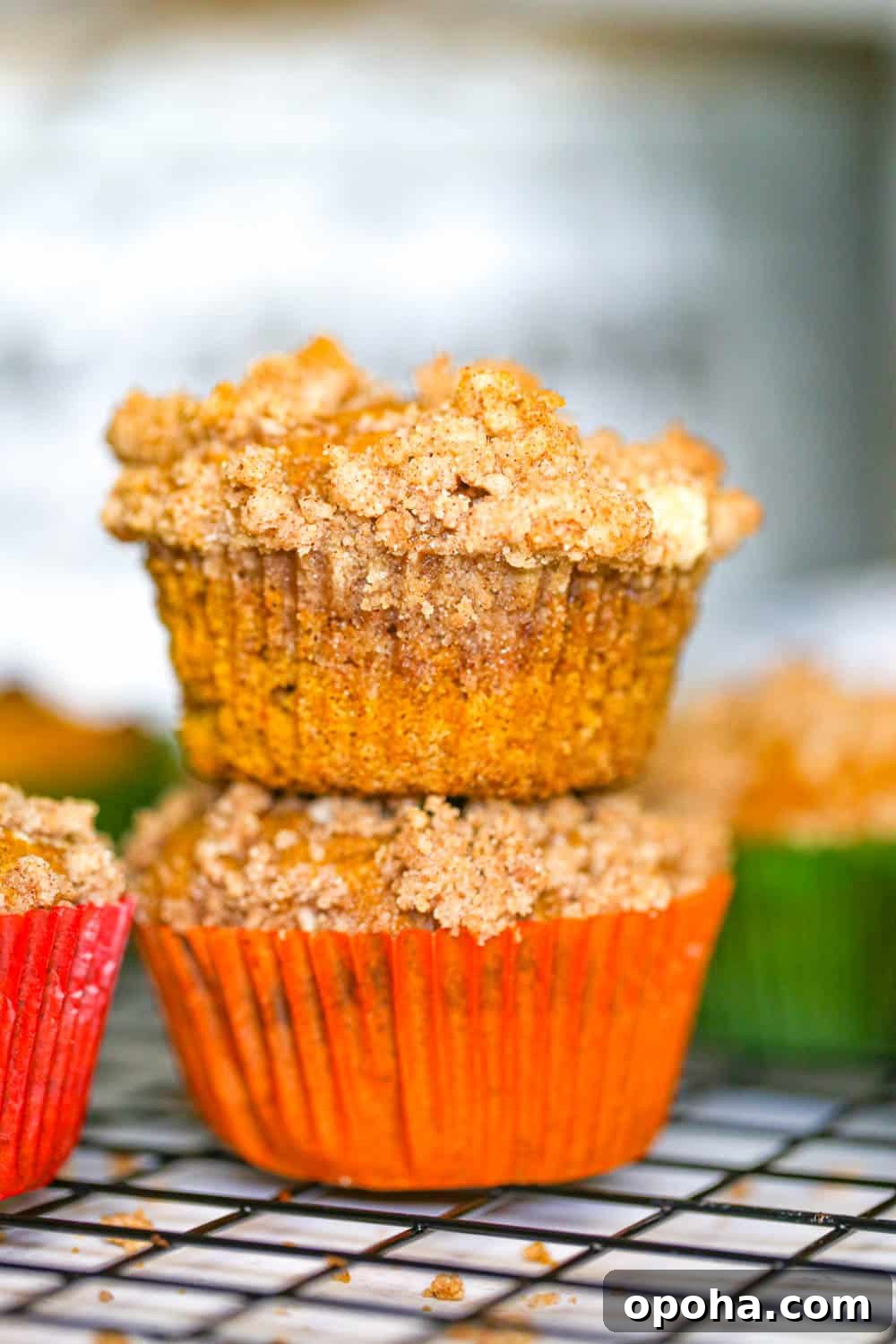 Pumpkin Streusel Muffins with Cinnamon-Sugar Crumble 4 pumpkin muffins with streusel topping recipe