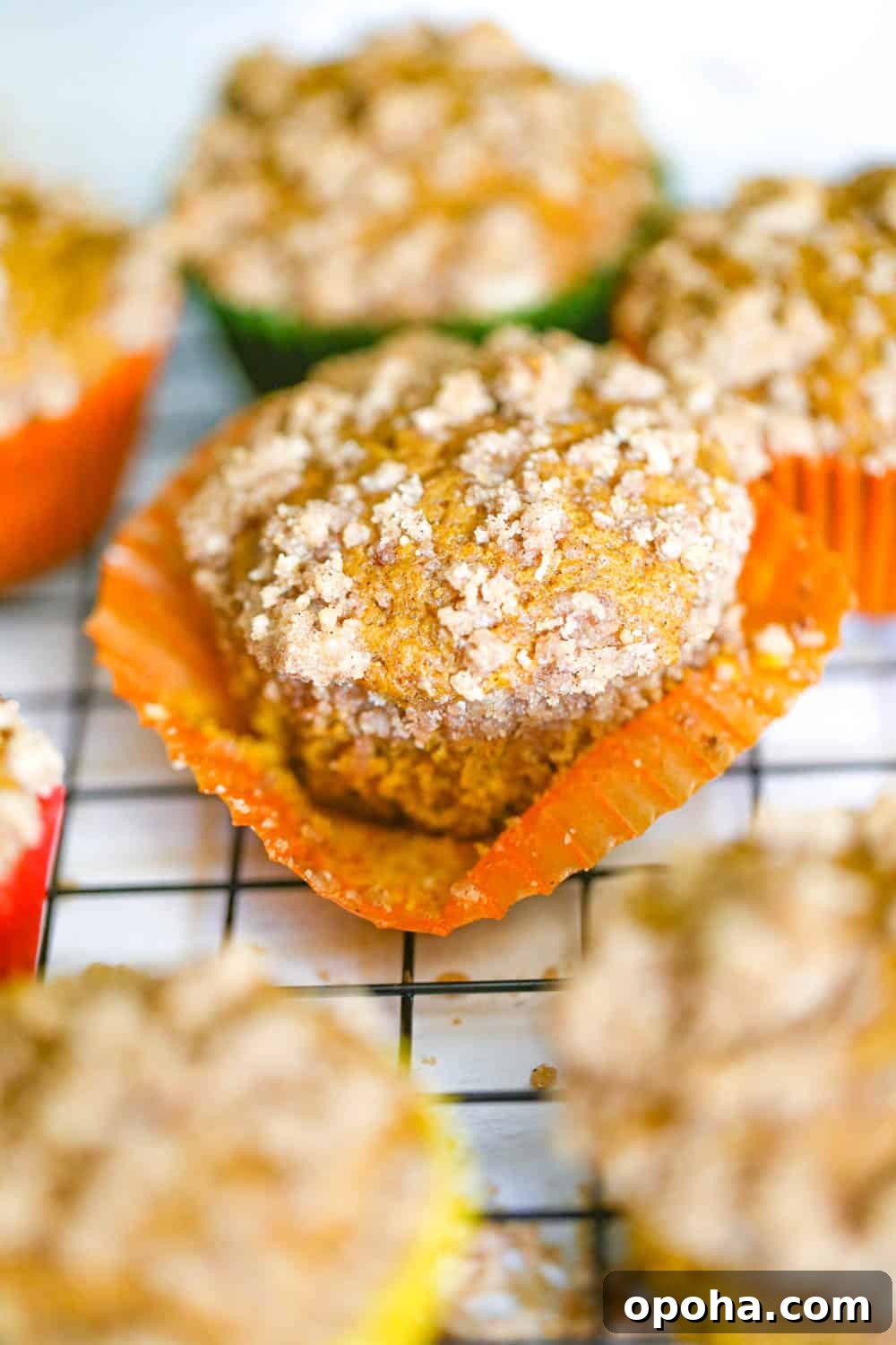 Pumpkin Streusel Muffins with Cinnamon-Sugar Crumble 5 pumpkin muffins with streusel topping recipe