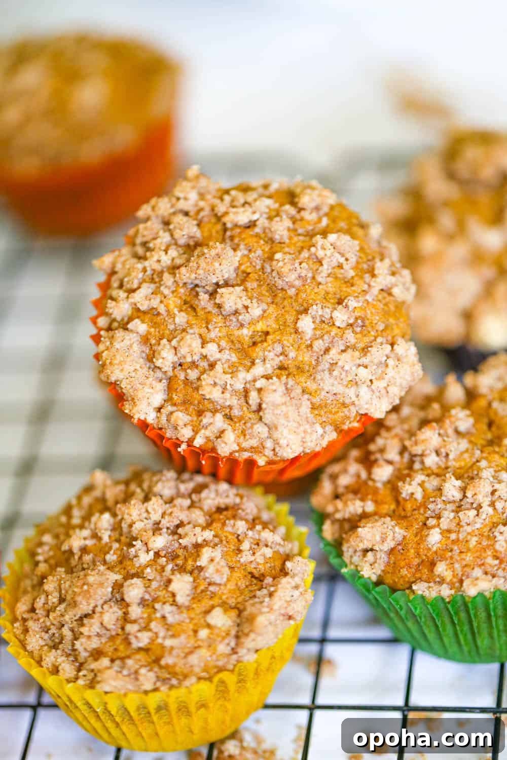 Pumpkin Streusel Muffins with Cinnamon-Sugar Crumble 6 pumpkin muffins with streusel topping recipe