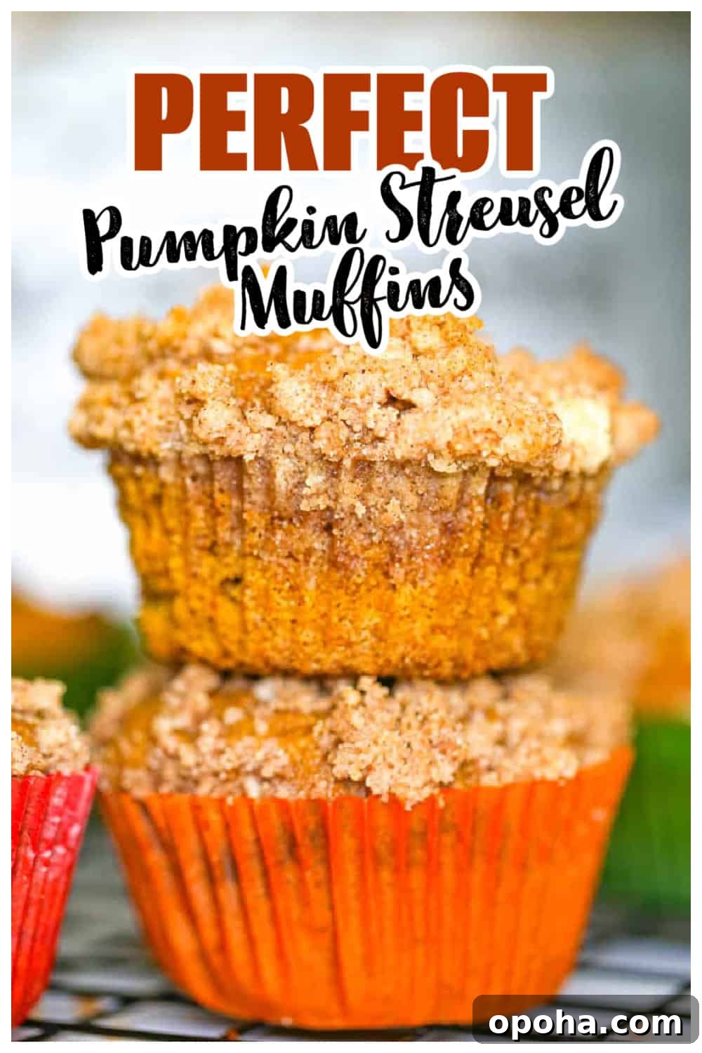 Pumpkin Streusel Muffins with Cinnamon-Sugar Crumble 7 pumpkin muffins with streusel topping recipe