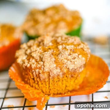 Pumpkin Streusel Muffins with Cinnamon-Sugar Crumble 8 Pumpkin Streusel Muffins