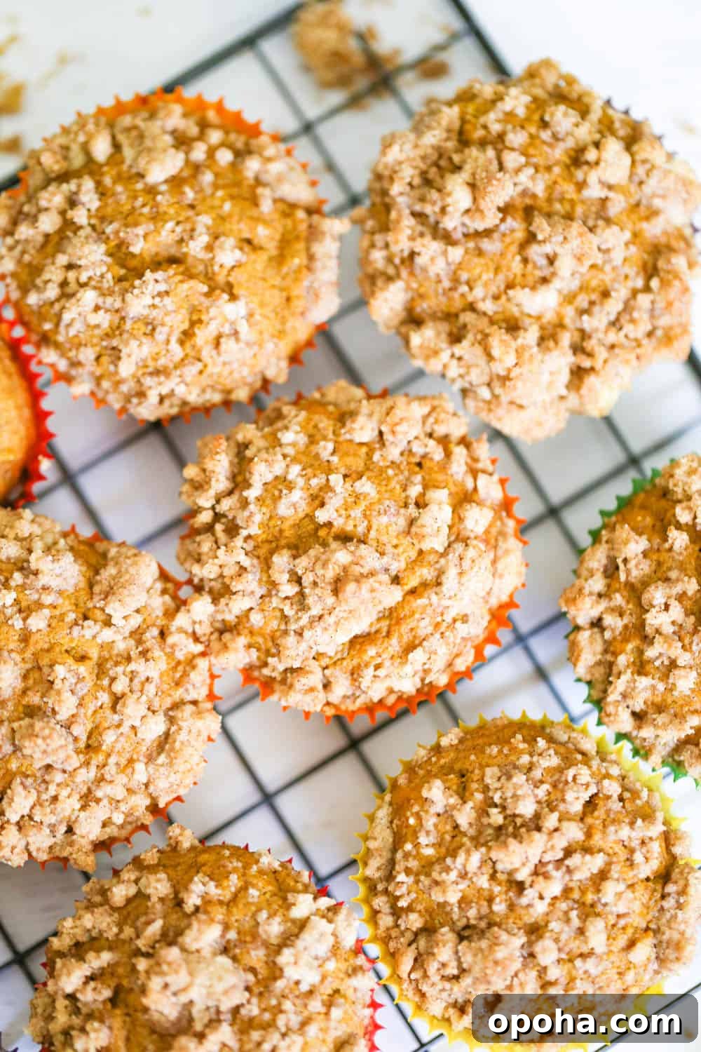 Pumpkin Streusel Muffins with Cinnamon-Sugar Crumble 3 pumpkin muffins with streusel topping recipe