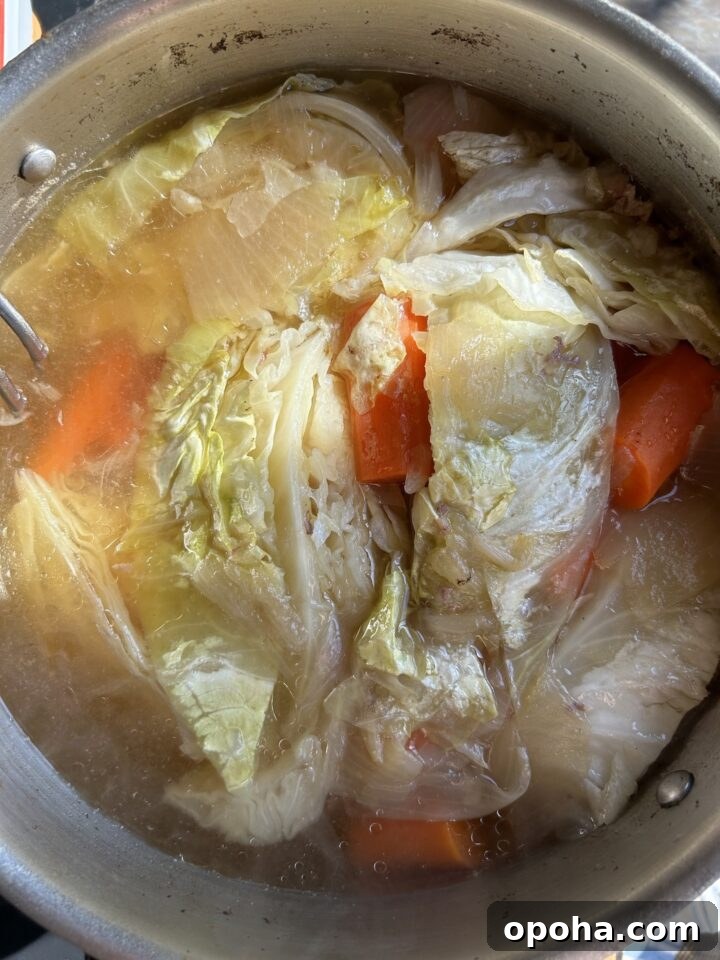 cabbage in pot