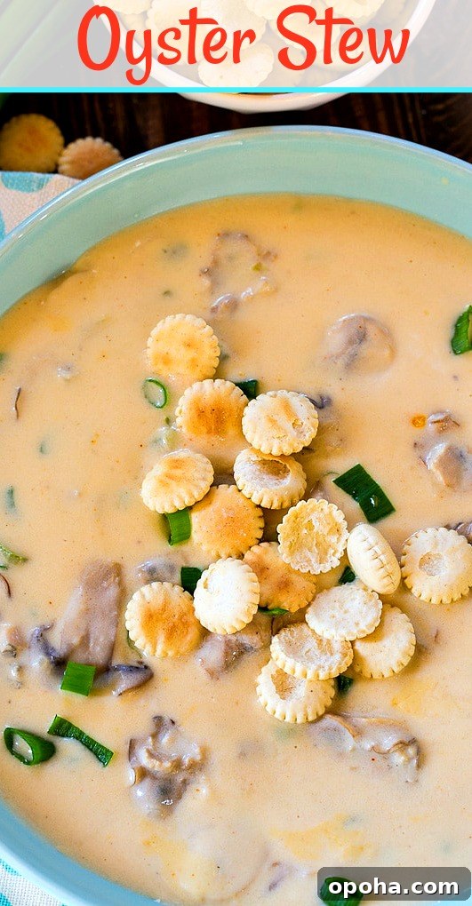 Creamy Oyster Stew Recipe with Garlic and Fresh Herbs 6 img 18808 6