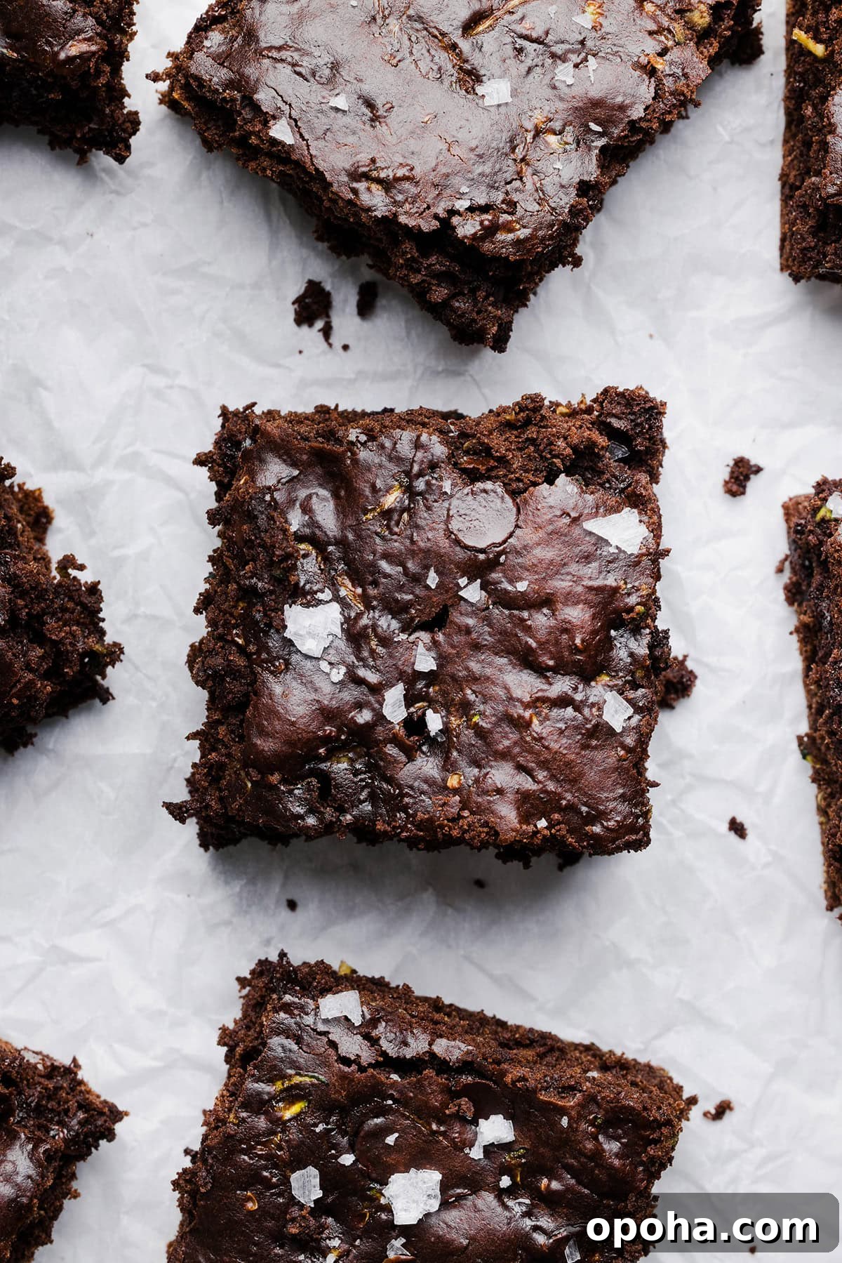 Fudgy Zucchini Brownies Recipe — Moist Chocolate Zucchini Squares 2 These Fudgy Zucchini Brownies are deliciously moist with a rich chocolate taste loaded with shredded zucchini and made healthier with zero butter or refined sugar! One of our family's favorite summer desserts!