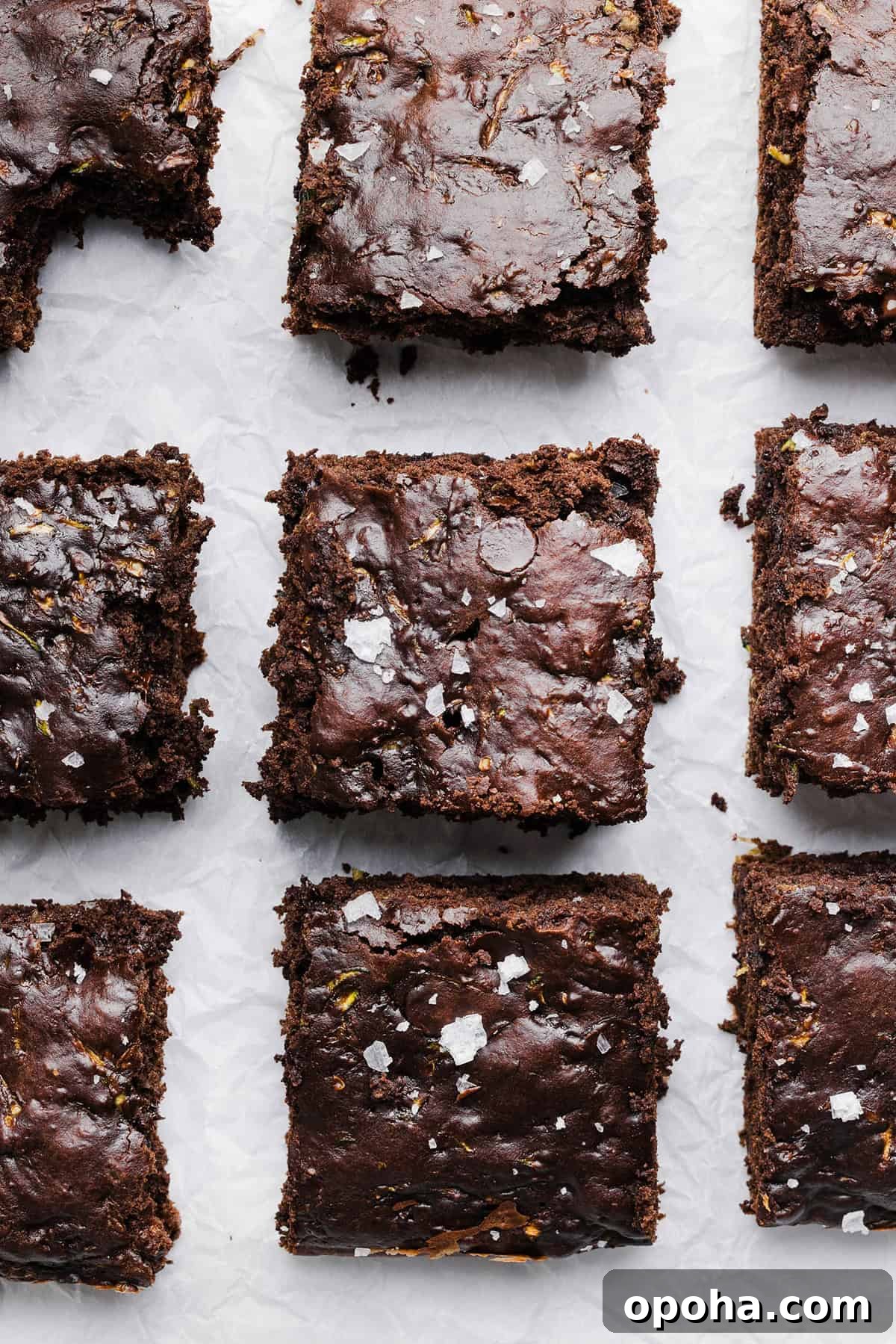 Fudgy Zucchini Brownies Recipe — Moist Chocolate Zucchini Squares 6 These Fudgy Zucchini Brownies are deliciously moist with a rich chocolate taste loaded with shredded zucchini and made healthier with zero butter or refined sugar! One of our family's favorite summer desserts!