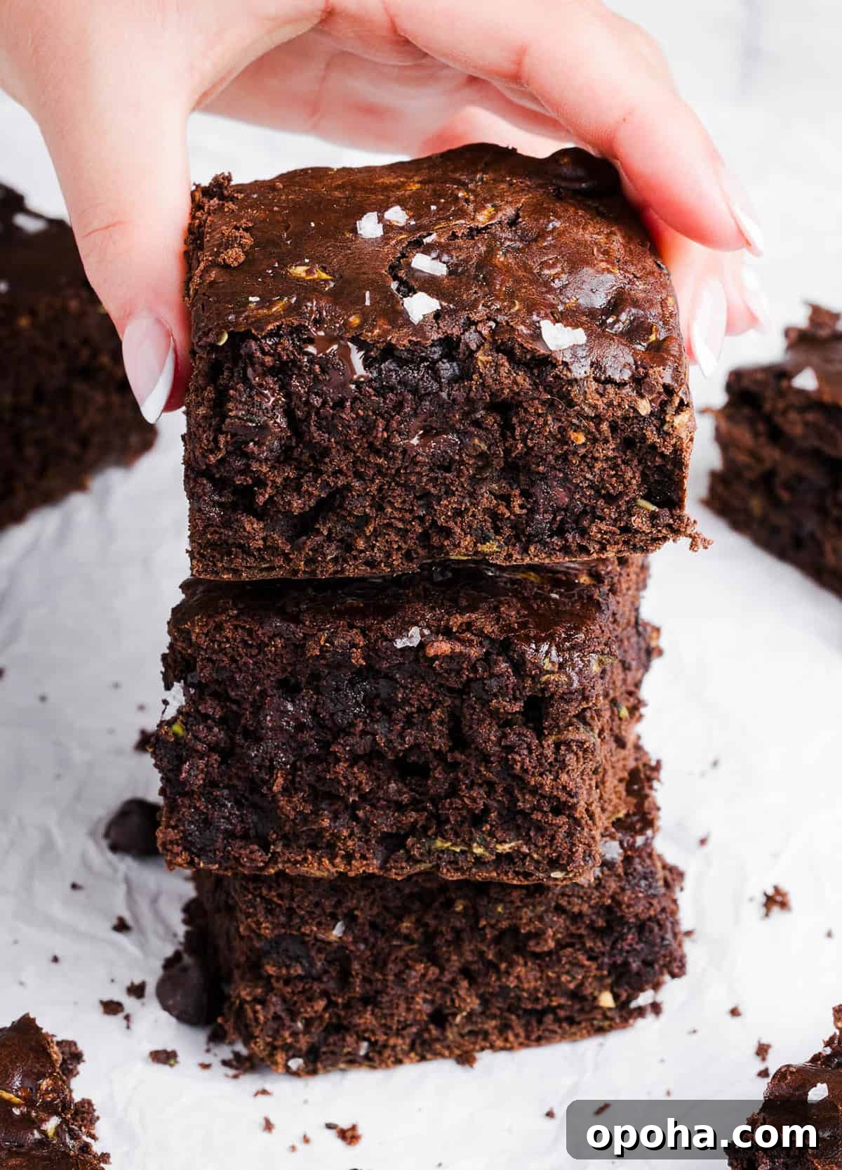 Fudgy Zucchini Brownies Recipe — Moist Chocolate Zucchini Squares 7 These Fudgy Zucchini Brownies are deliciously moist with a rich chocolate taste loaded with shredded zucchini and made healthier with zero butter or refined sugar! One of our family's favorite summer desserts!