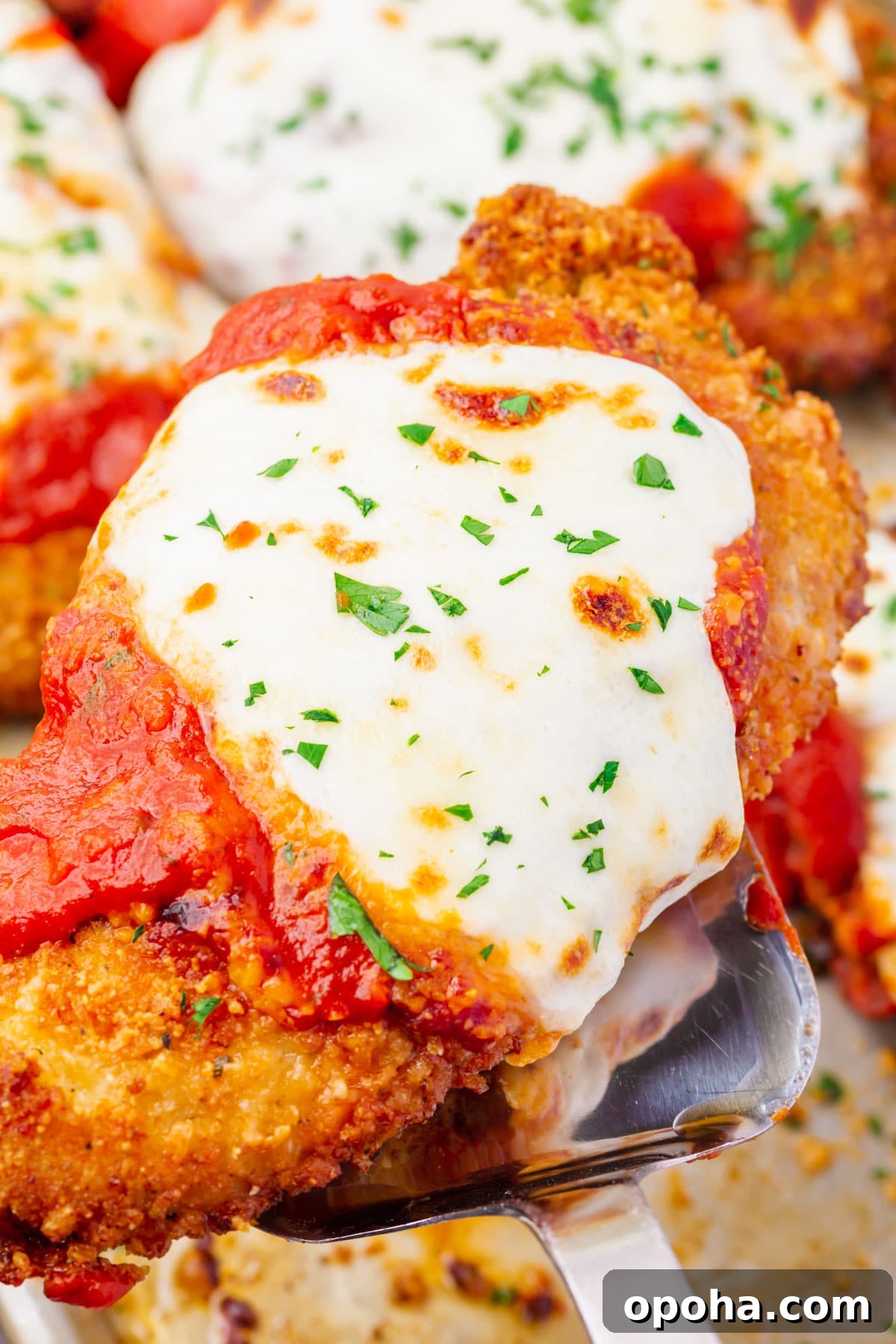 Crispy Gluten-Free Chicken Parmesan Recipe for Dinner 2 A piece of Gluten-Free Chicken Parmesan being lifted off a baking tray with a silver spatula.