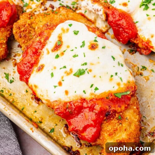 Crispy Gluten-Free Chicken Parmesan Recipe for Dinner 6 A piece of Gluten-Free Chicken Parmesan on a baking tray.