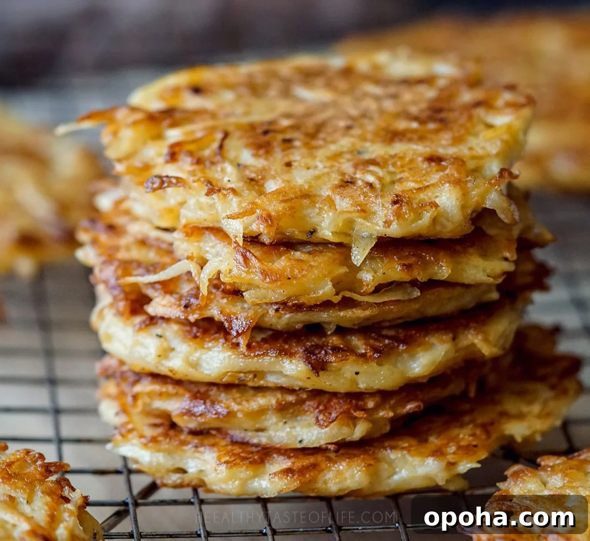 Balanced Plate Meal Template: How to Build Nutritious Portions 11 potato fritters featured image