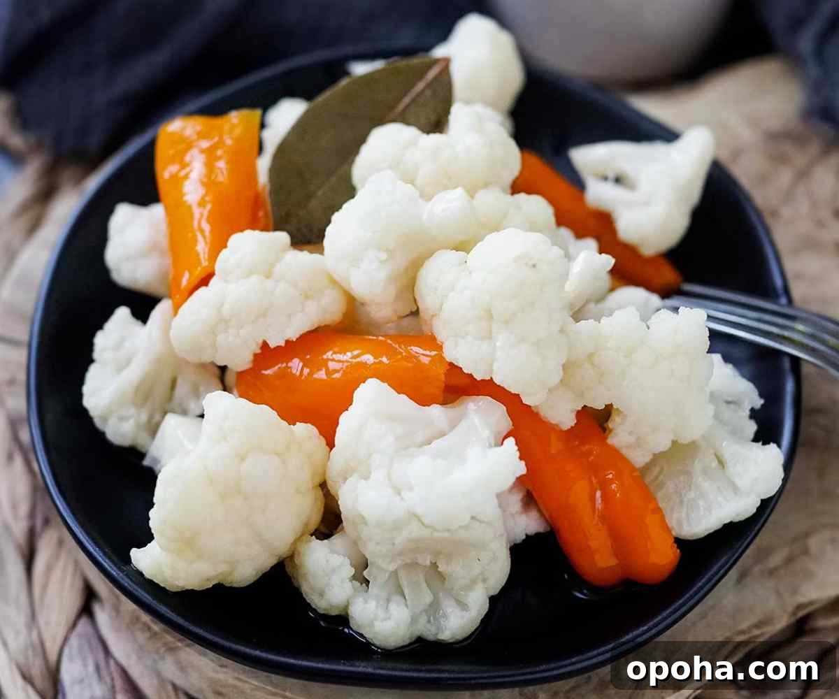 Balanced Plate Meal Template: How to Build Nutritious Portions 20 fermented cauliflower recipe featured image