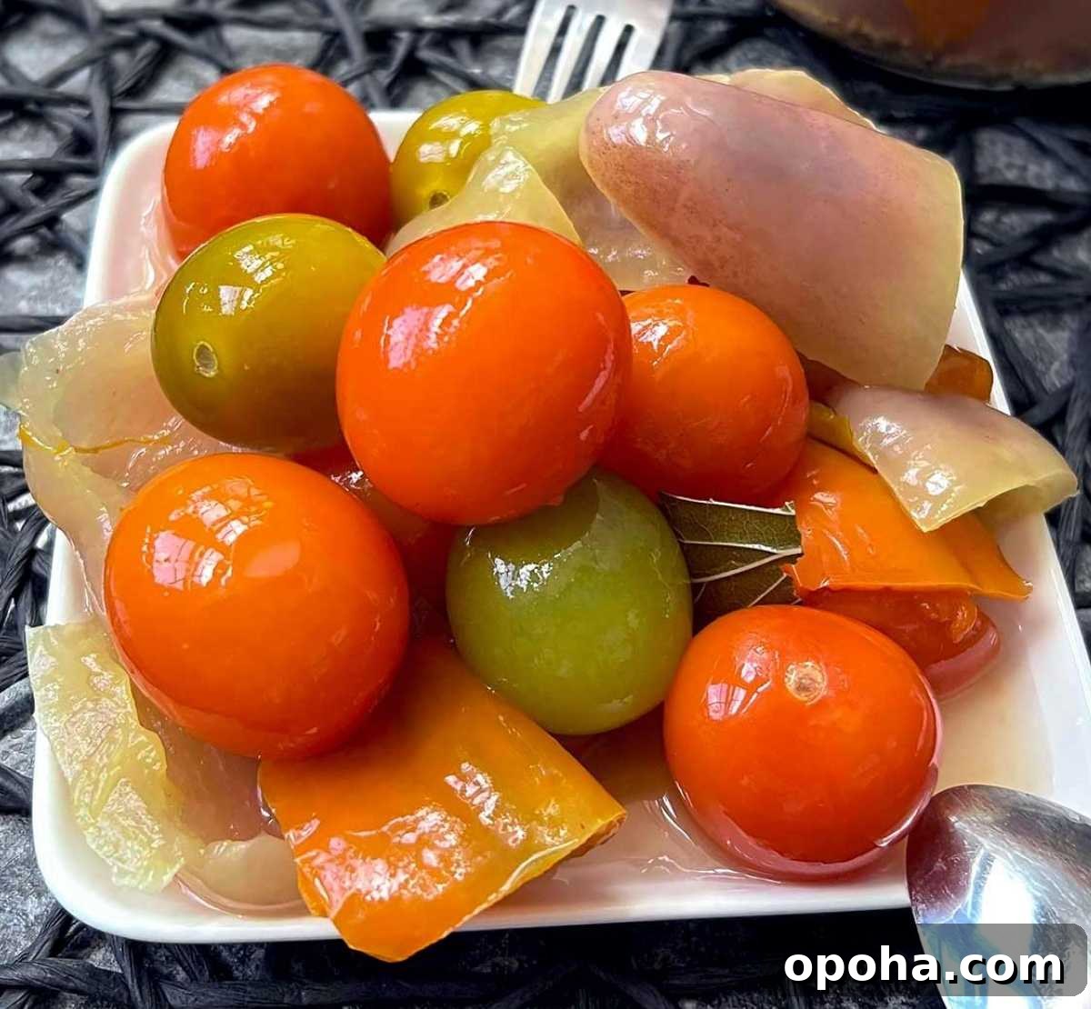 Balanced Plate Meal Template: How to Build Nutritious Portions 21 fermented peppers tomatoes recipe image