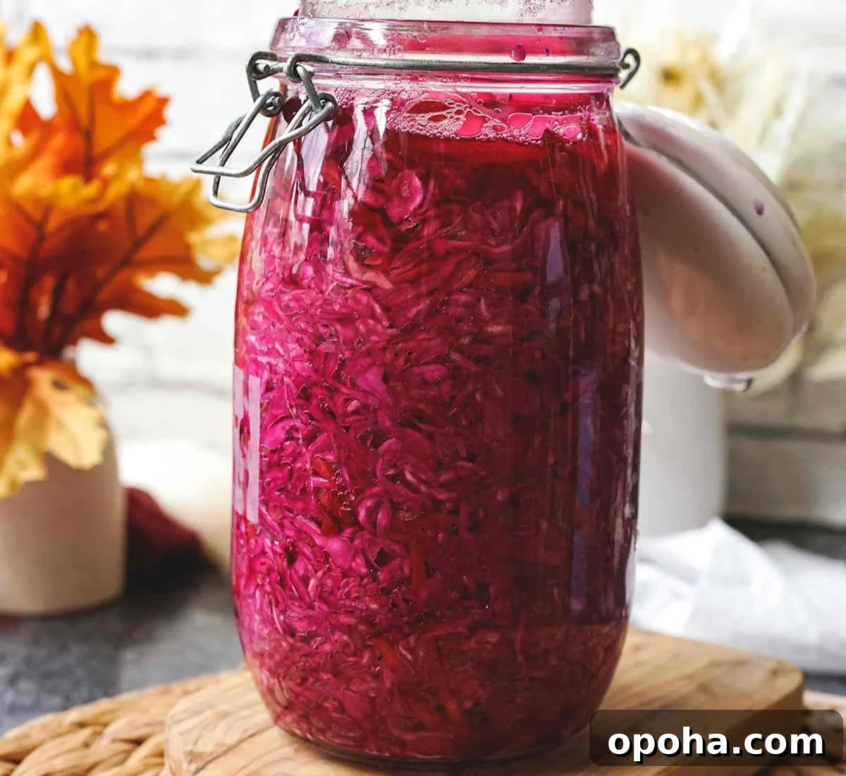 Balanced Plate Meal Template: How to Build Nutritious Portions 22 red cabbage sauerkraut recipe