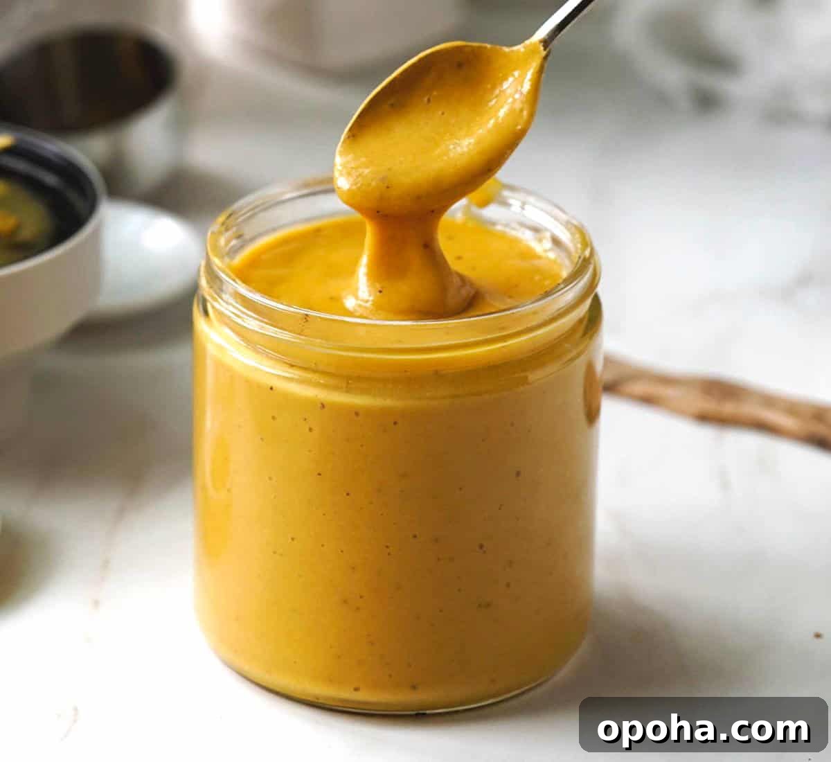 Balanced Plate Meal Template: How to Build Nutritious Portions 25 mango sauce featured image