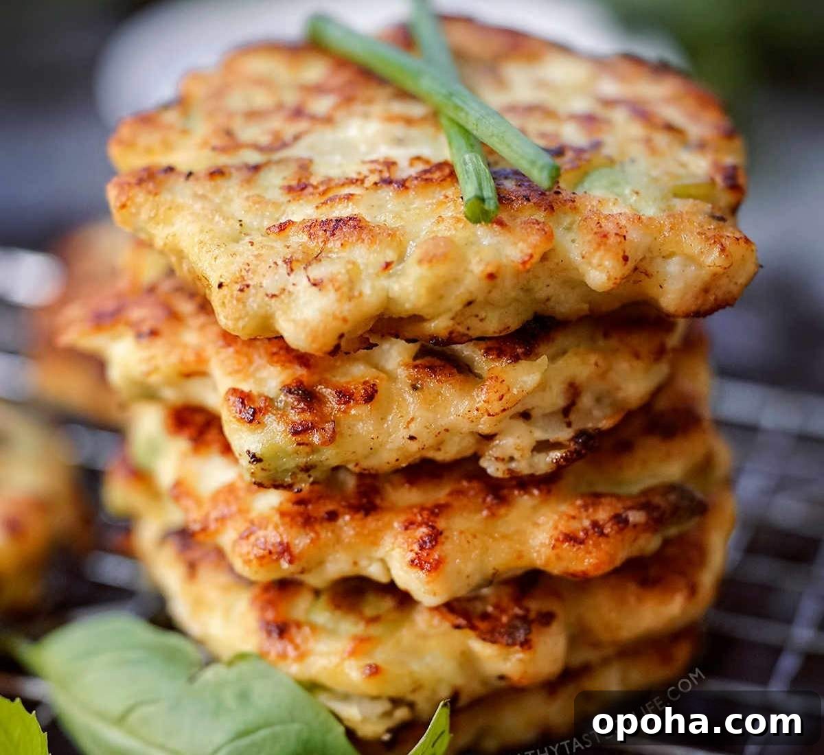Balanced Plate Meal Template: How to Build Nutritious Portions 5 chicken fritters featured image