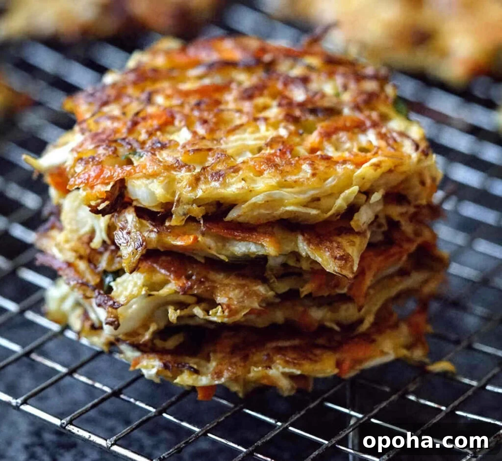 Balanced Plate Meal Template: How to Build Nutritious Portions 8 cabbage fritters recipe card