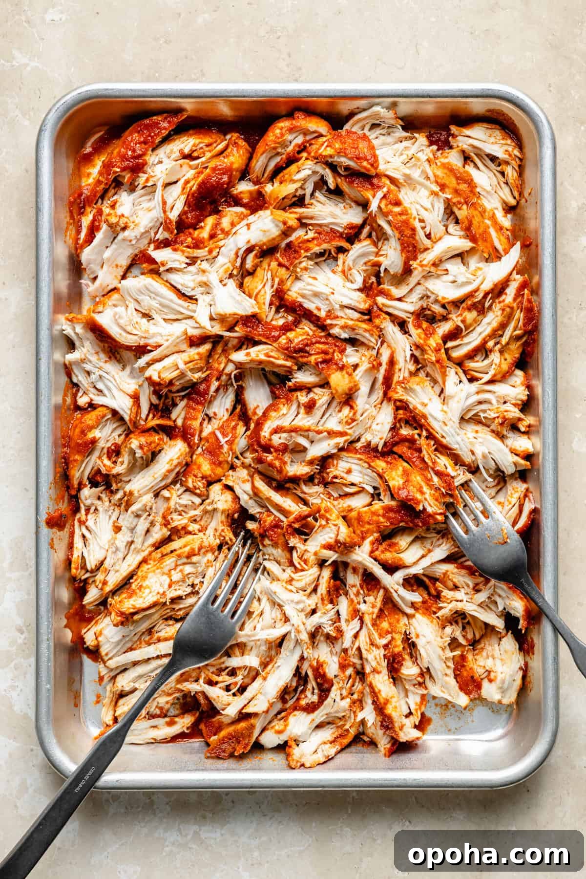 shredded bbq chicken breasts on a sheet pan with two forks.