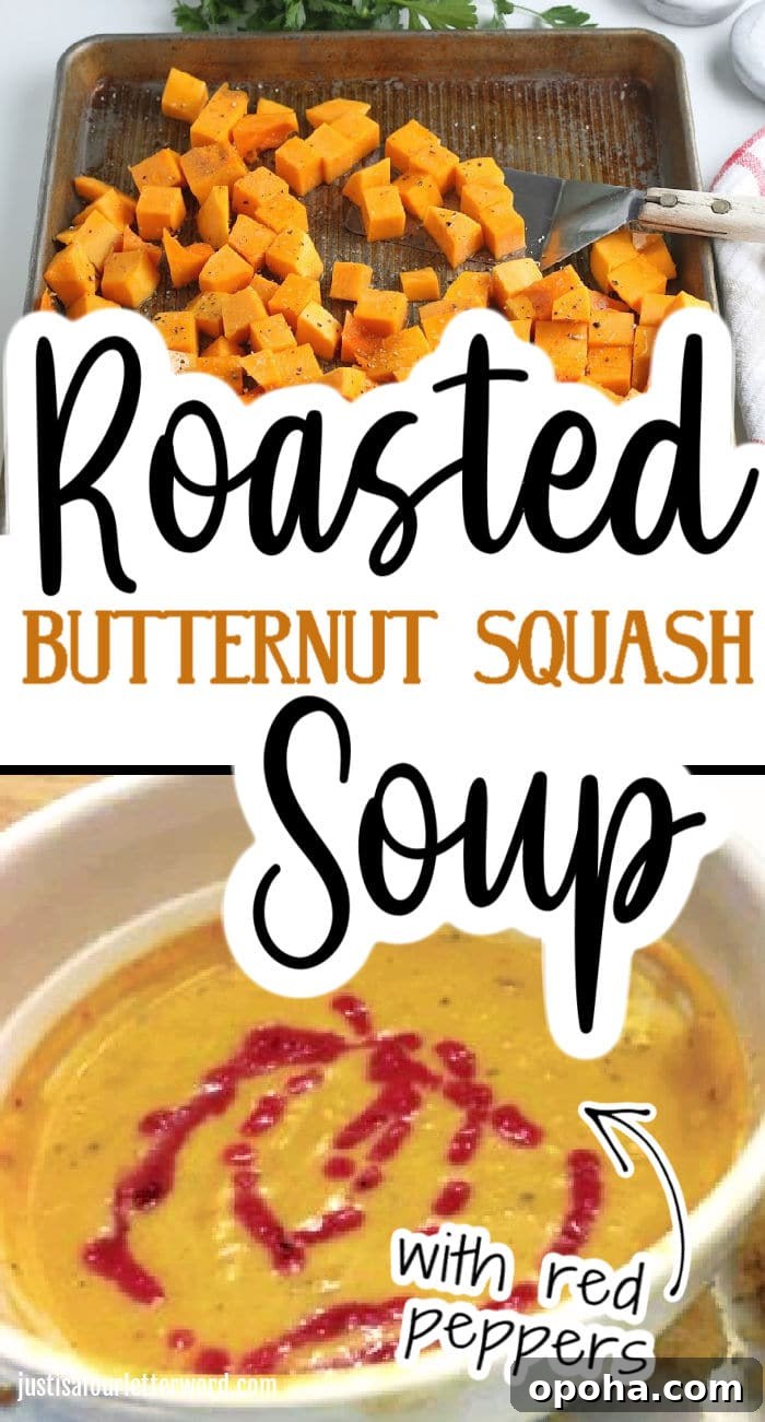 Creamy Roasted Butternut Squash Soup Recipe 6 roasted butternut squash soup recipe