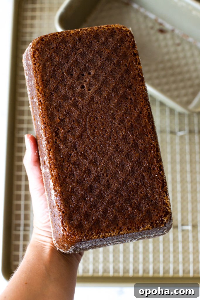 Pumpkin Spice Quick Bread with Maple Cream Cheese Frosting 13 Pumpkin Spice Bread loaf cooling