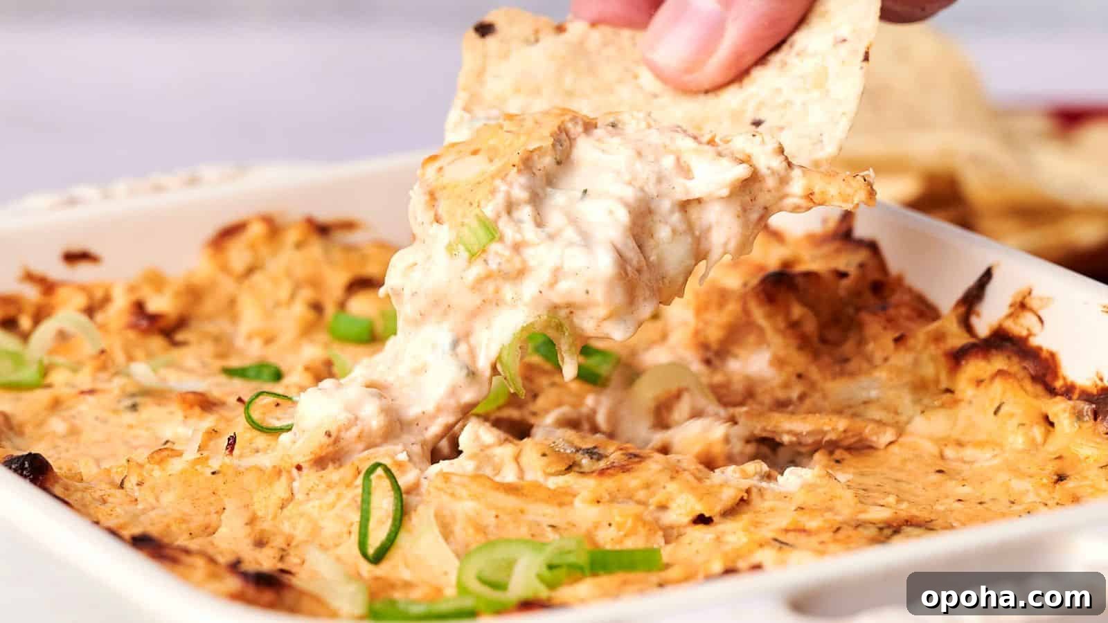 19 Summer Cookout Side Dishes I Make Every Weekend 12 A hand dips a tortilla chip into a cheesy baked dish topped with sliced green onions.