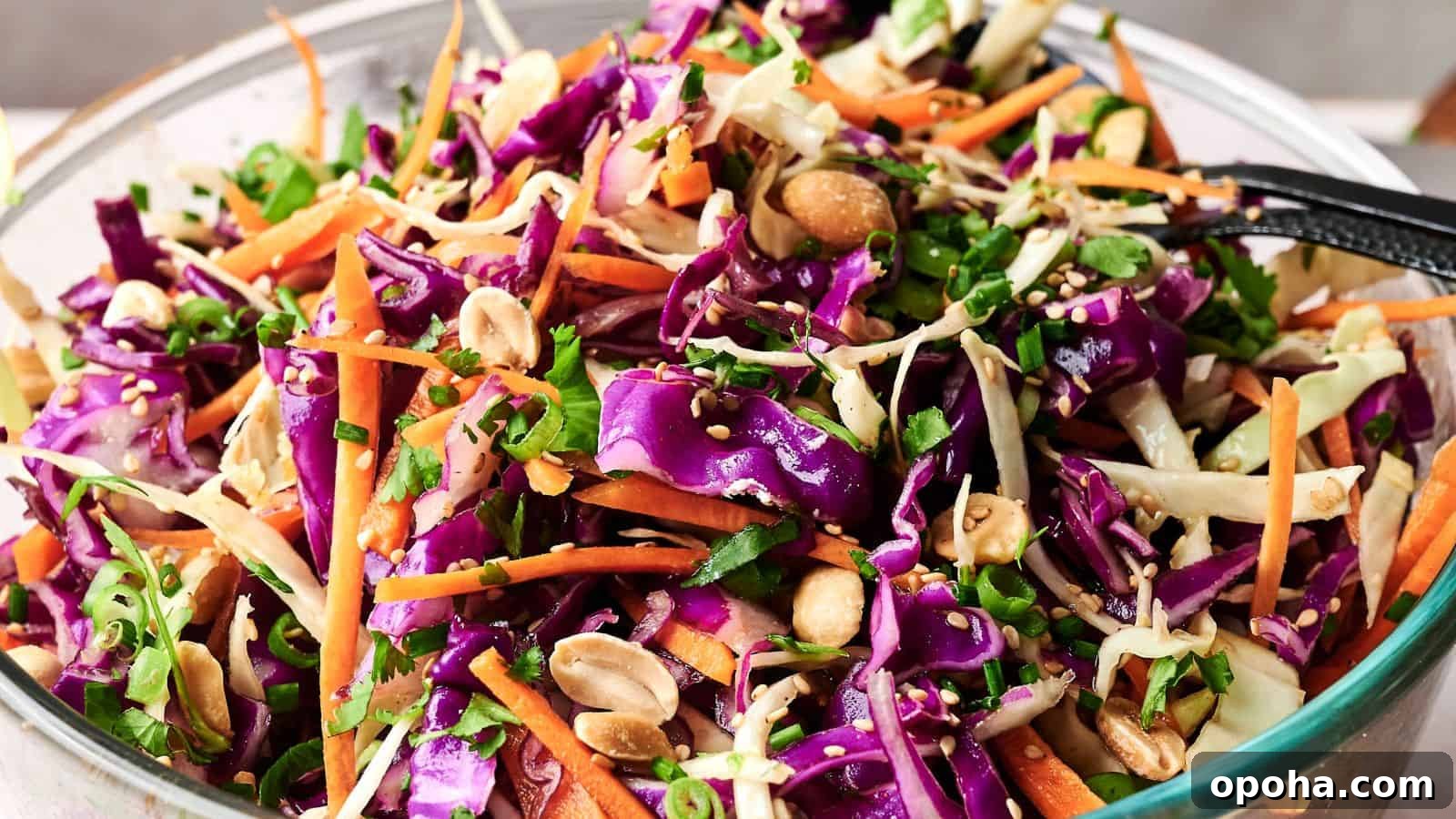 19 Summer Cookout Side Dishes I Make Every Weekend 13 A bowl of colorful coleslaw with shredded purple and green cabbage, carrots, chopped peanuts, and greens, mixed with dressing.