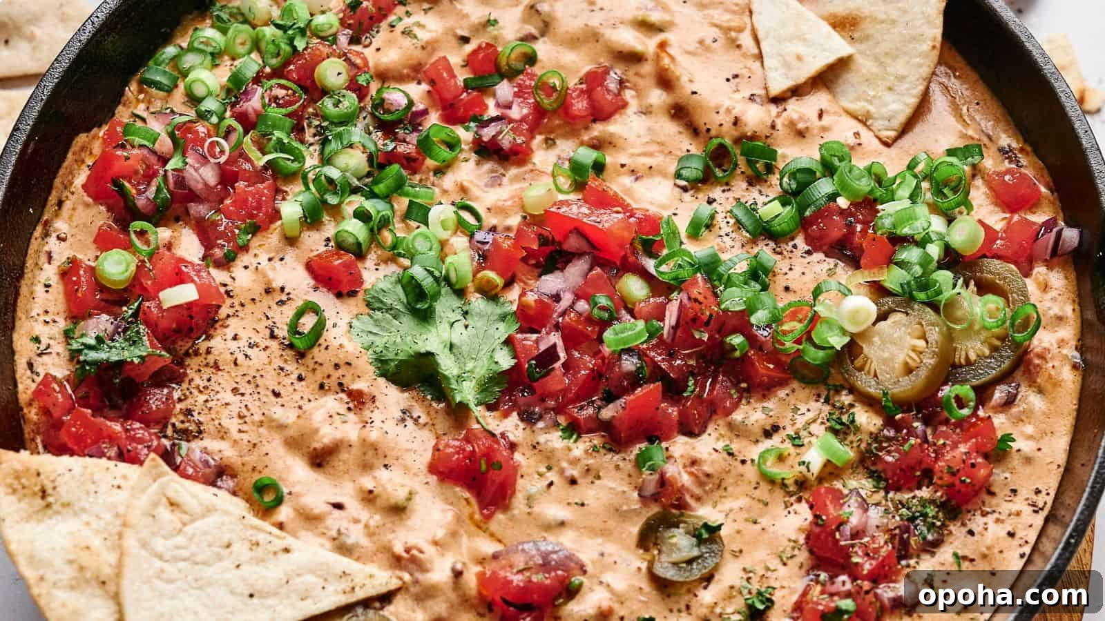 19 Summer Cookout Side Dishes I Make Every Weekend 10 A skillet filled with creamy cheese dip topped with chopped tomatoes, green onions, cilantro, and sliced jalapeños, surrounded by triangular tortilla chips.