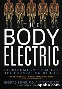 The body electric by Robert O. Becker, M.D. and Gary Selden.