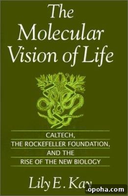 The molecular vision of life by Lily E. Kay.