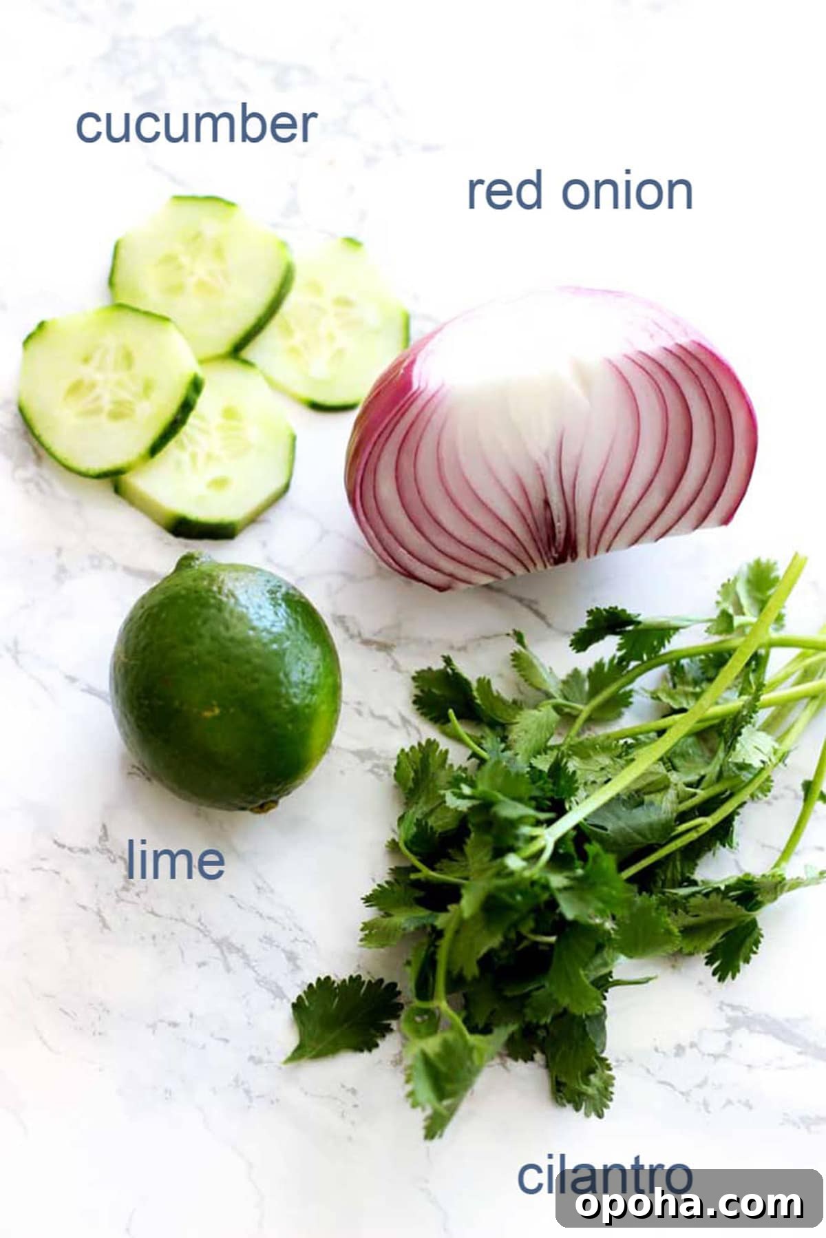 Pan-Seared Salmon with Refreshing Cucumber Salad 3 Ingredients on a counter to make cucumber salsa to serve with pan seared salmon.