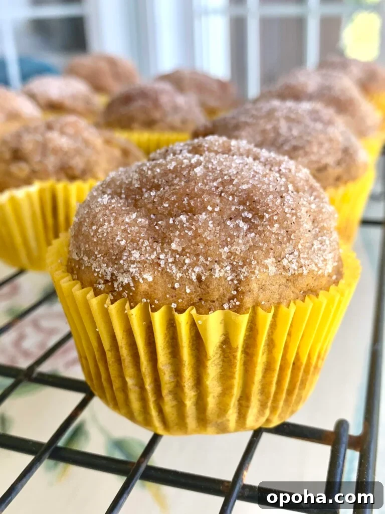 One-Bowl Pumpkin Spice Muffins Recipe for Moist Fall Baking 2 On
