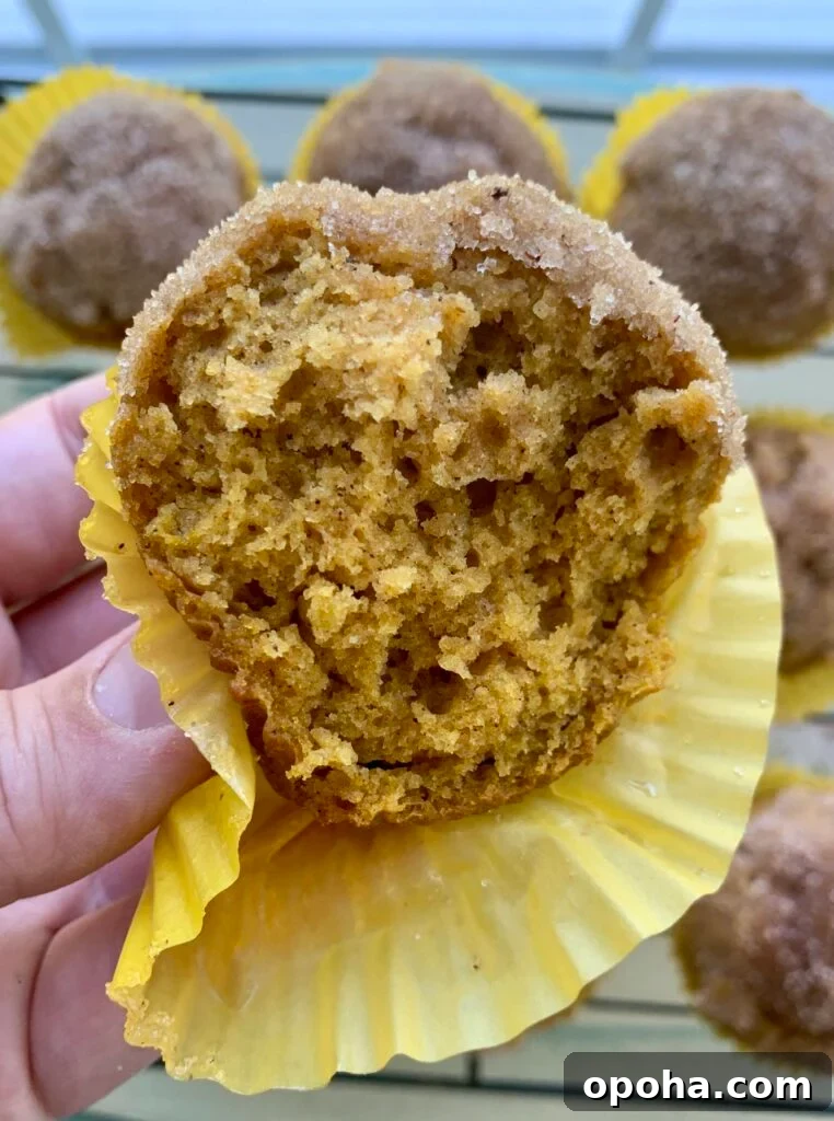 One-Bowl Pumpkin Spice Muffins Recipe for Moist Fall Baking 3 img 2218 2