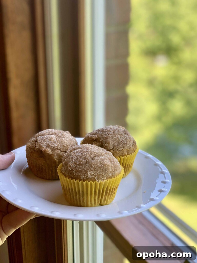 One-Bowl Pumpkin Spice Muffins Recipe for Moist Fall Baking 8 img 2218 7