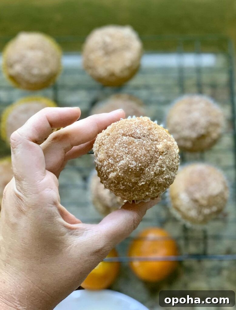 One-Bowl Pumpkin Spice Muffins Recipe for Moist Fall Baking 9 img 2218 8